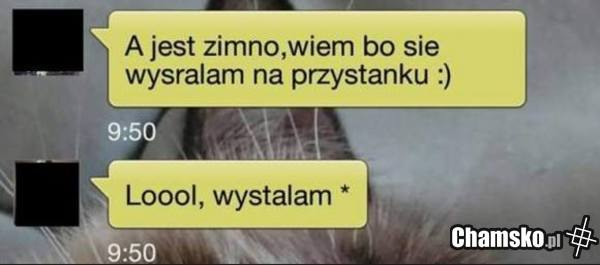 Autokorekta