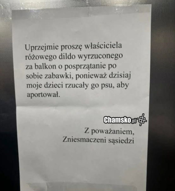 Zabawka dla psa