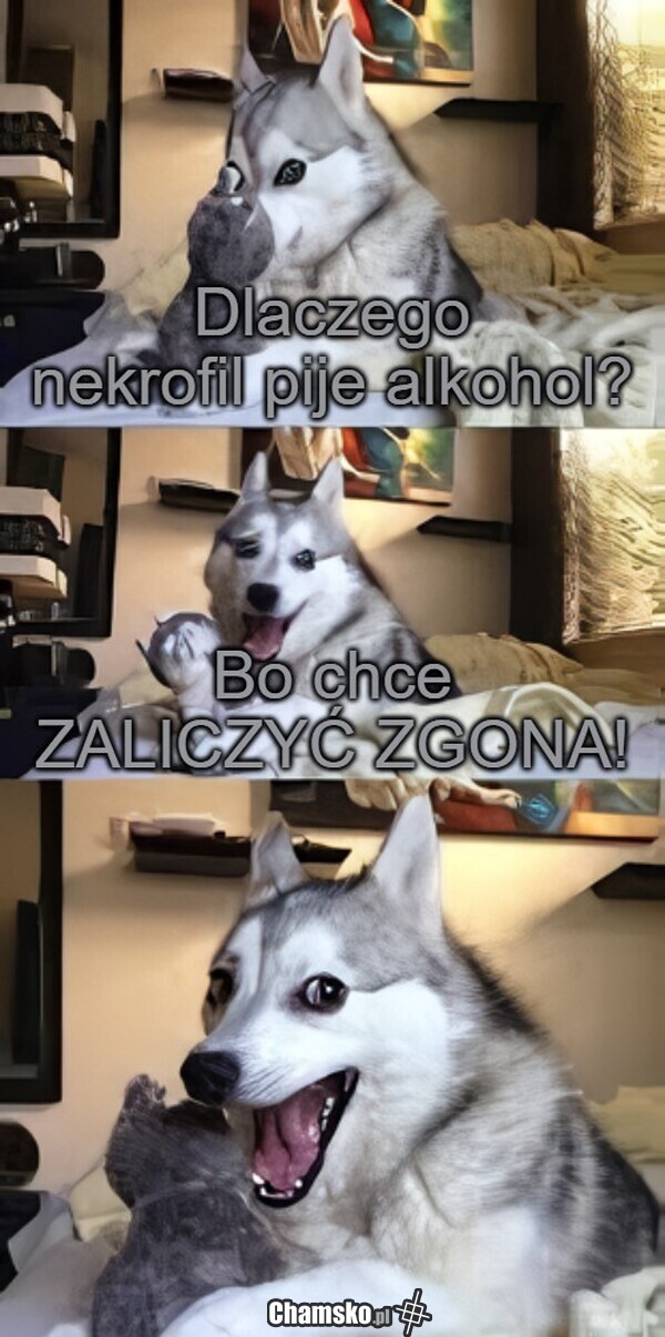 Nekrofil