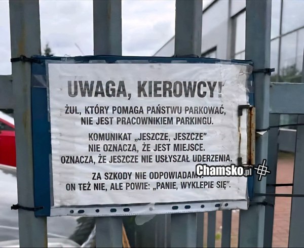 Żul parkingowy