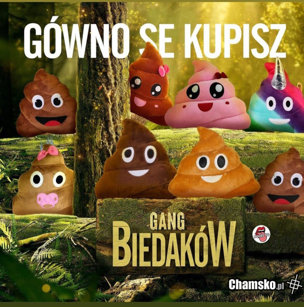 Nowy gang