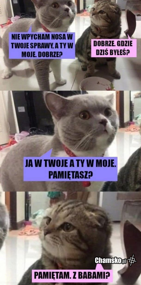 Wpychanie w nie swoje sprawy