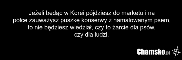 Jeżeli będąc w Korei pójdziesz do marketu i na półce zauważysz puszkę konserwy z namalowanym psem, to nie będziesz wiedział, czy to żarcie dla psów, czy dla ludzi.