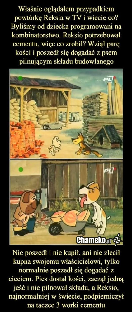 Reksio kombinator