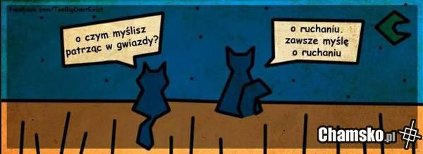 O czym myślisz?
