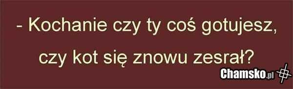 Coś gotujesz?