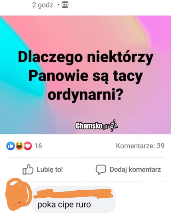 Ordynarni faceci