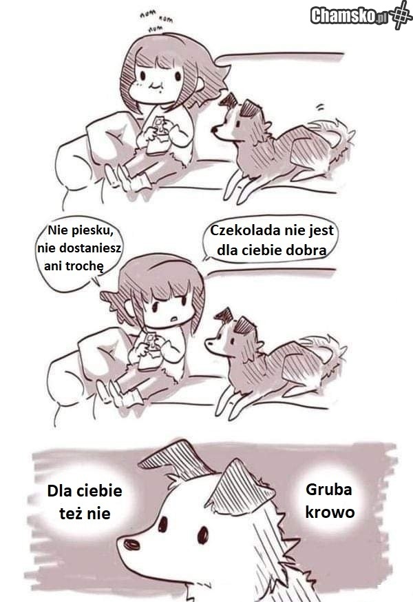 Czekolada