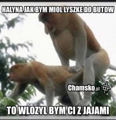 Łyżka