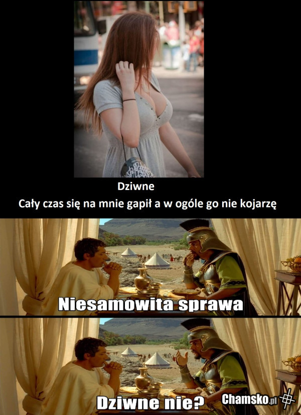 To pewnie stary znajomy