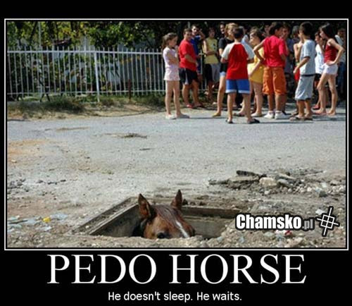Pedokoń