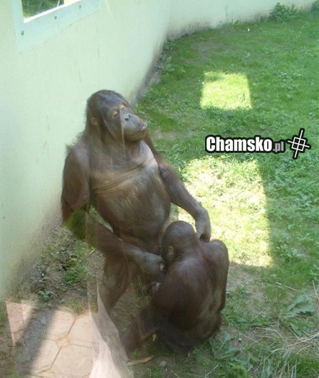 Podczas wizyty w zoo