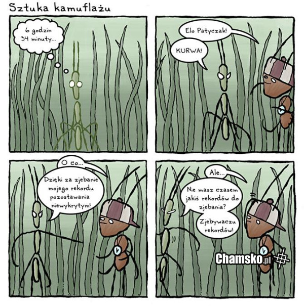 Rekord