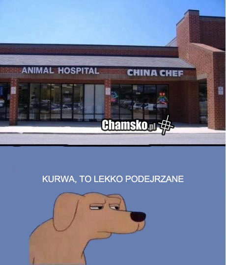 Podejrzane