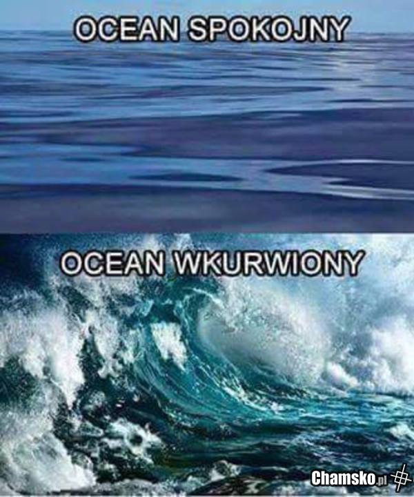 Oceany