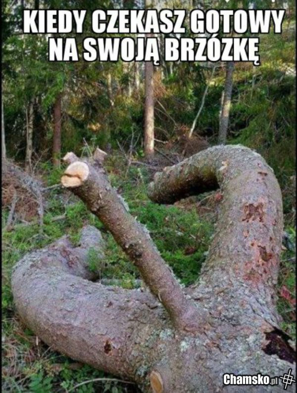 Oczekiwanie