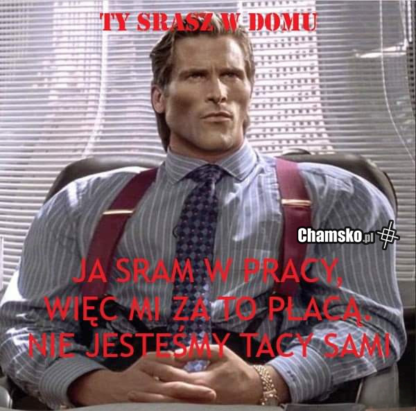 Sranko w pracy