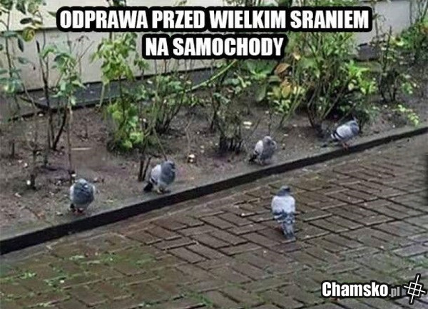 Odprawa