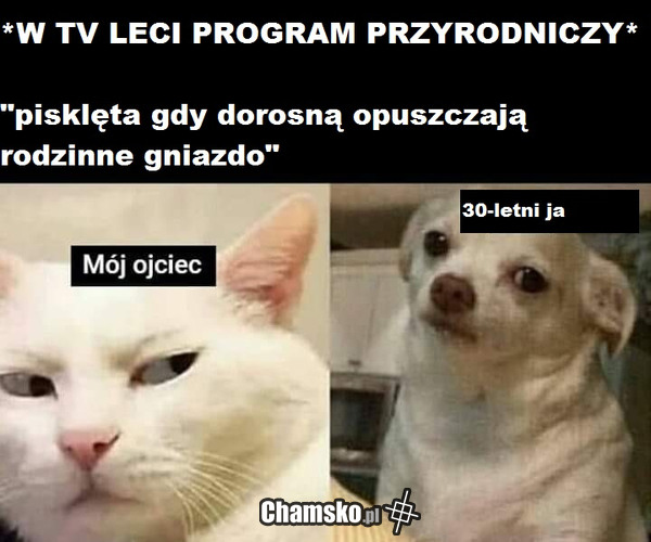 Opuszczanie gniazda
