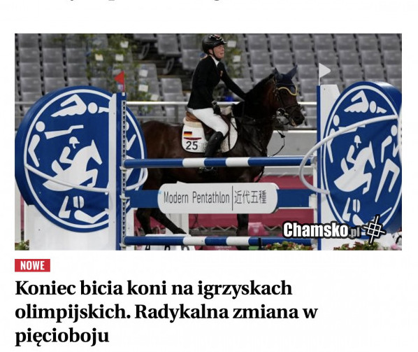 Koniec bicia