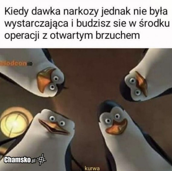 Pobudka na stole
