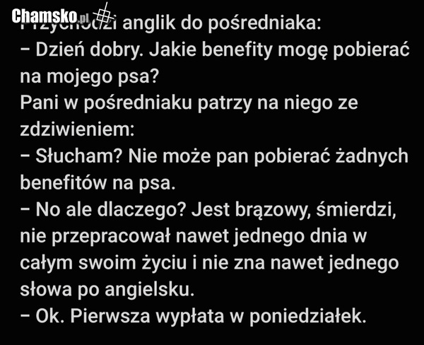 Zasiłek