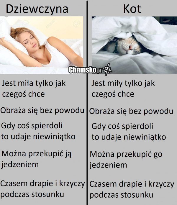 Porównanie