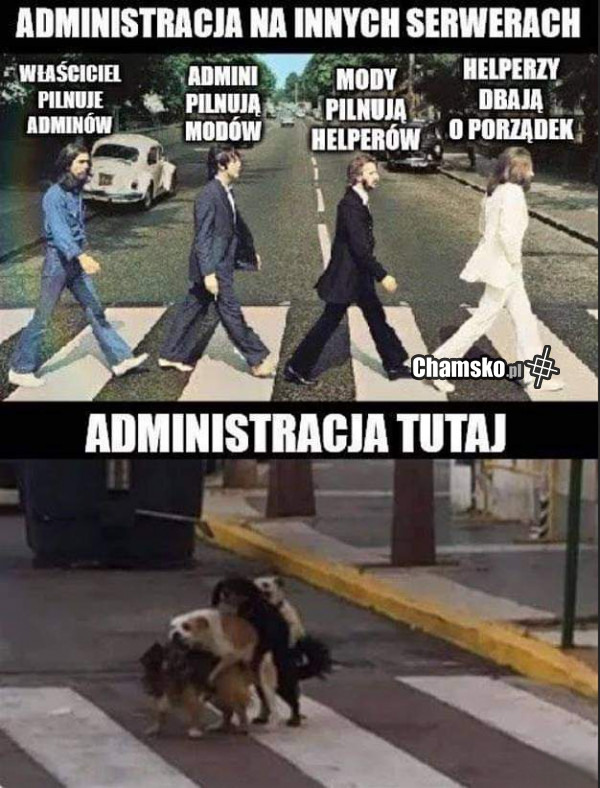 Admini chamsko