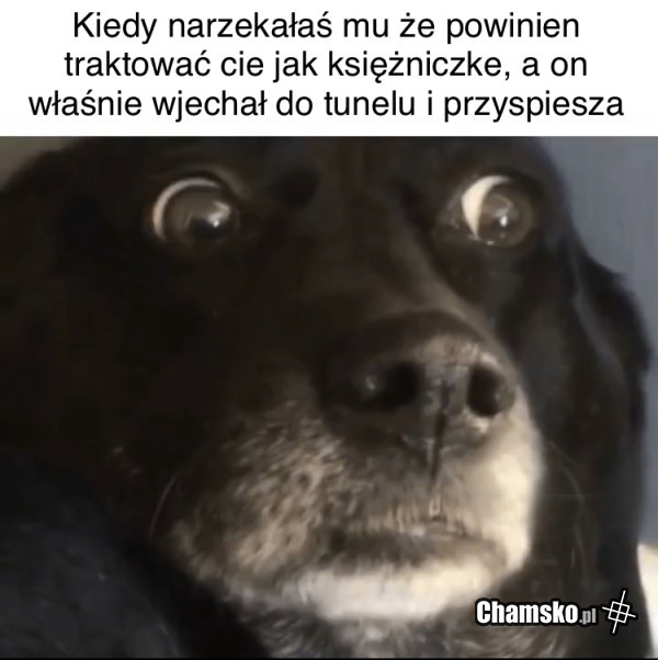 Księżniczka