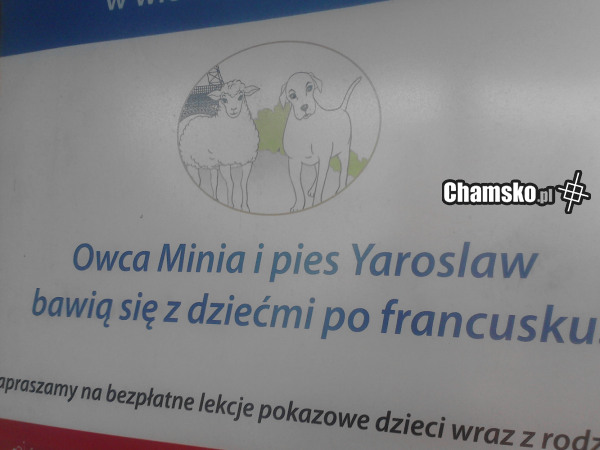 Jak w to się bawi?