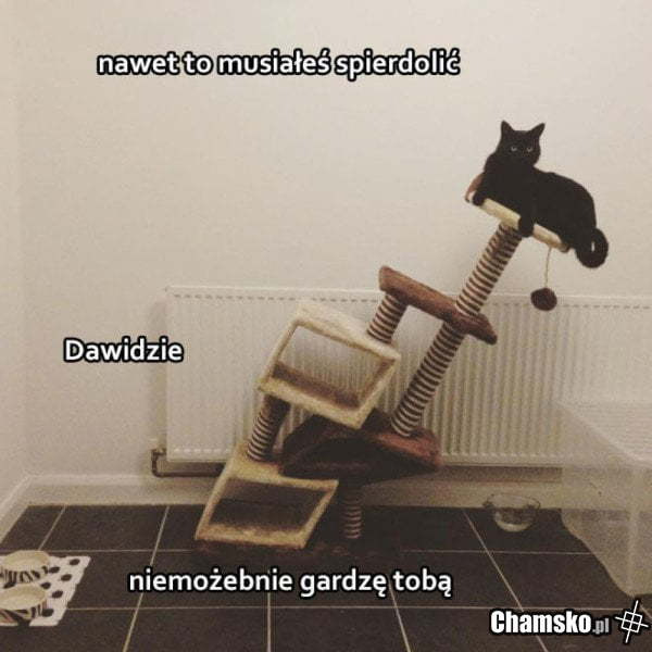 Dawidzie!