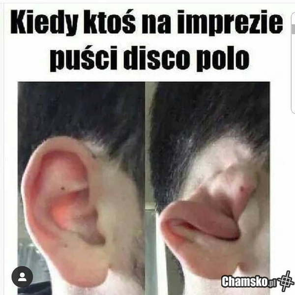 Disco polo