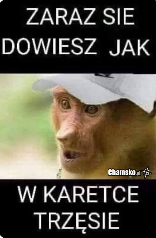 Zaraz się dowiesz