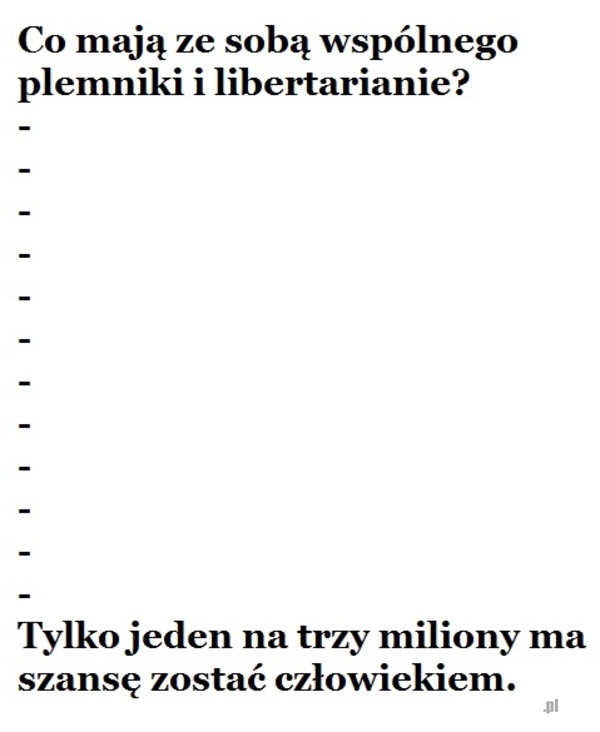 Beka z kucy Korwina xD