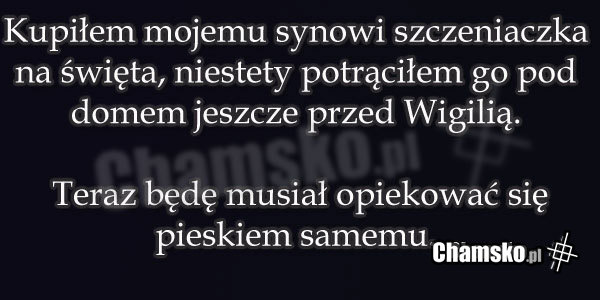 Piesek
