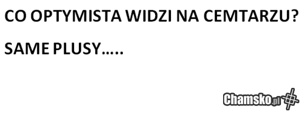 Optymista