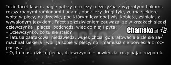 Tragedia w lesie