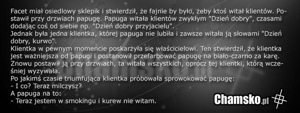 Papuga