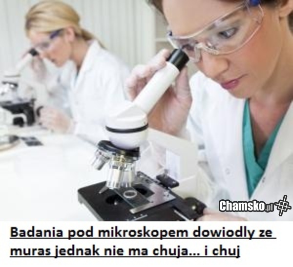 Muras