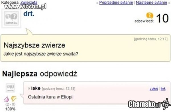 Najszybsze zwierzę.