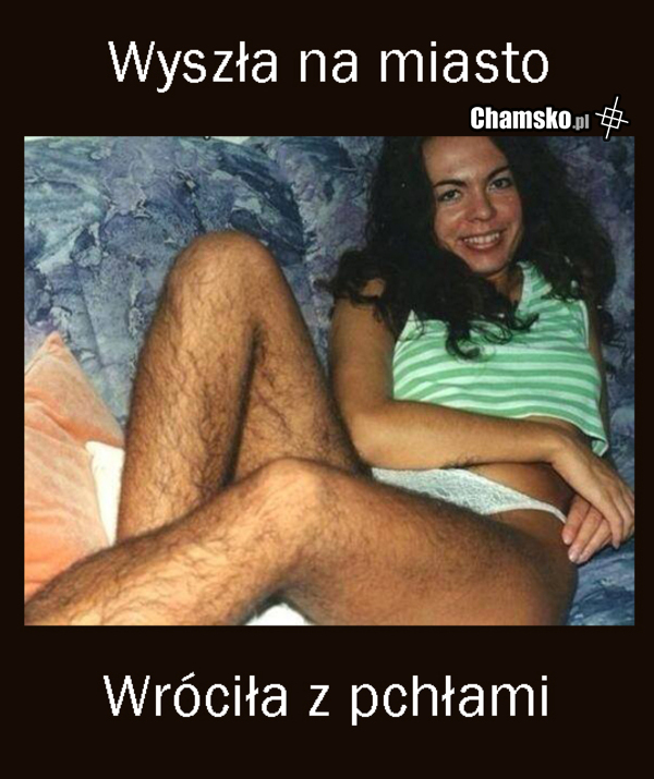 Pchełka