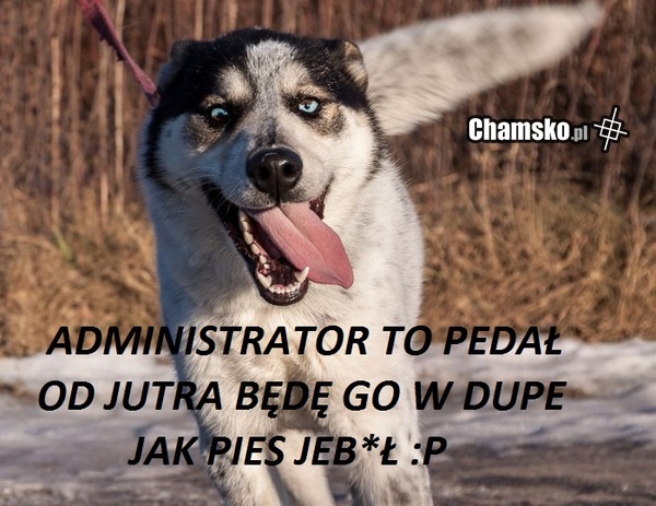 Zdziwiony :)
