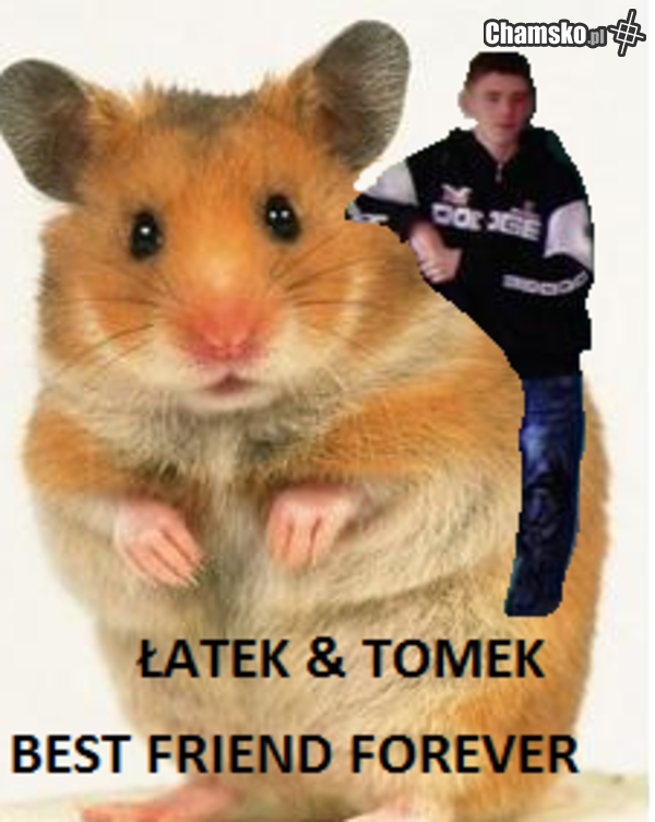 ŁOŻESZTY