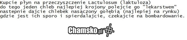 żarcik