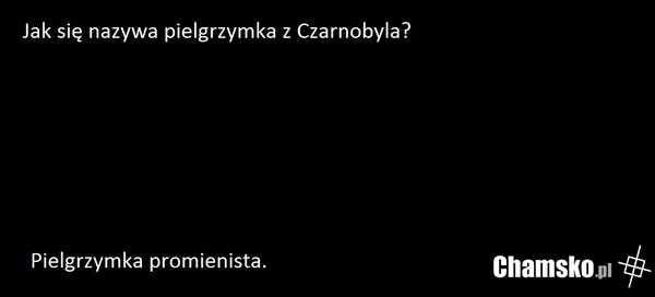 Pielgrzyma