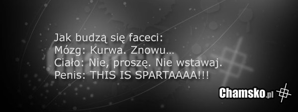 Jak budzą się faceci