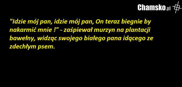 Anegdota o murzynie