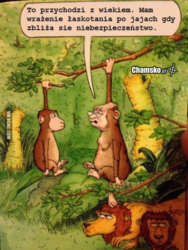 6 zmysł