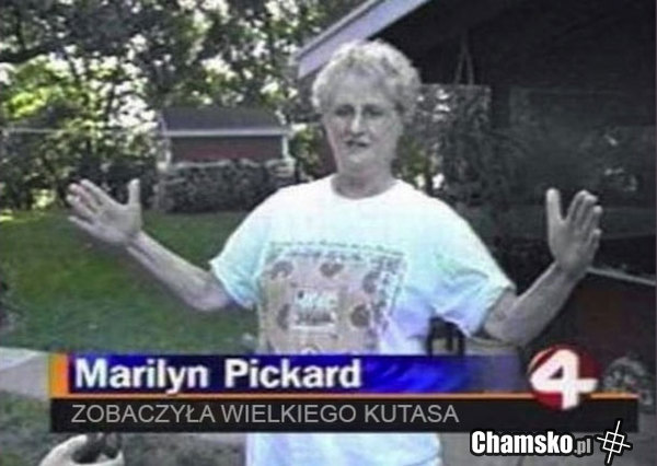 Wiadomości