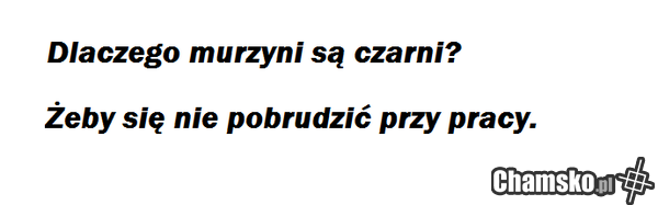 Murzyni